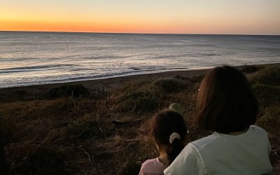 The Pursuit of Peace